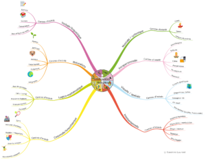 Carte mentales intelligences multiples